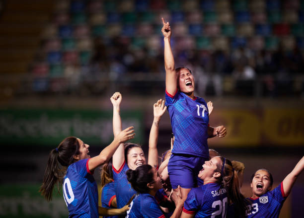 不仅是对篮 不仅是对篮